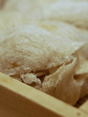 About Swallows' nests / 燕窝